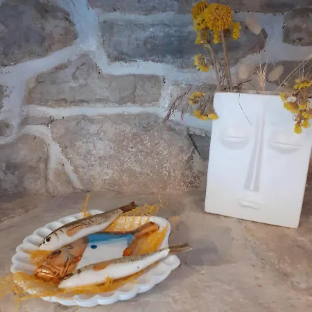 Apartamento Vanda *