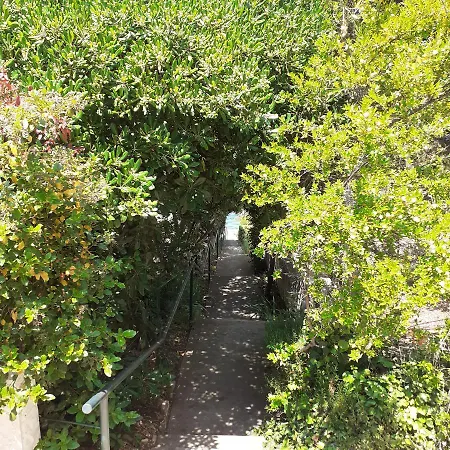 Vanda Apartamento *
