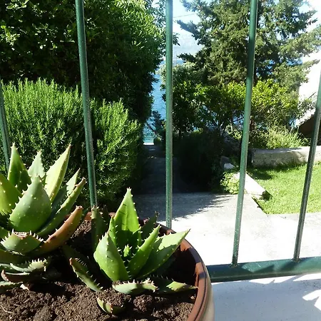 アパート Vanda スプリツカ