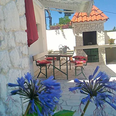 Vanda スプリツカ