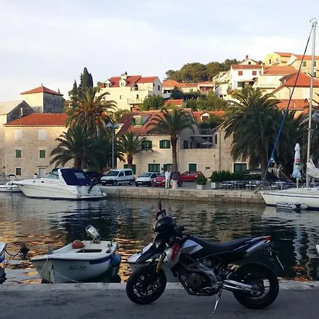 Vanda * ספליטסקה